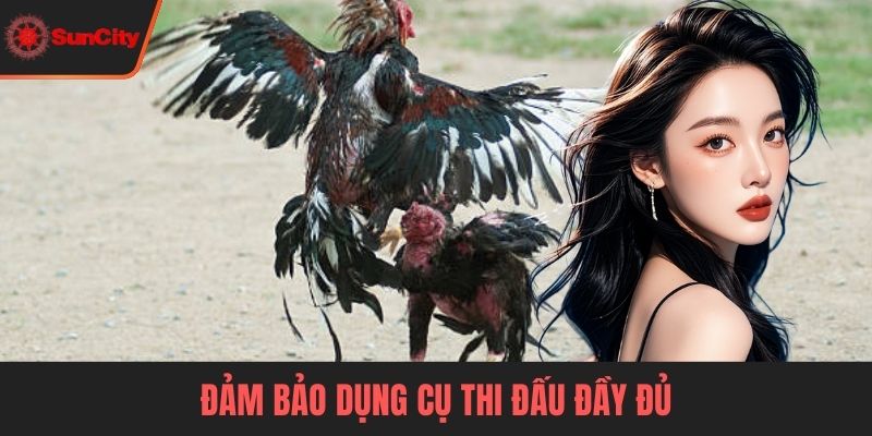 Đá gà đòn Đảm bảo dụng cụ thi đấu đầy đủ