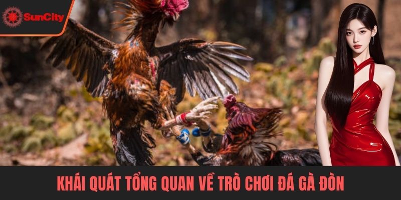 Đá gà đòn Khái quát tổng quan về trò chơi đá gà đòn