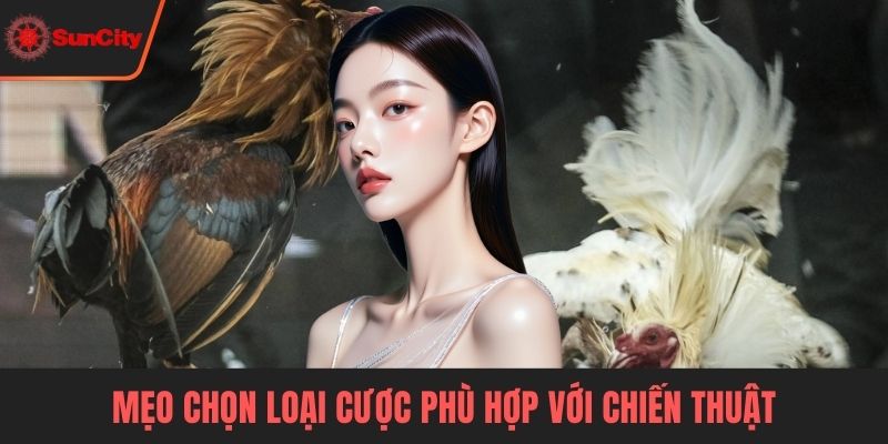 Đá gà trực tiếp Suncity Mẹo chọn loại cược phù hợp với chiến thuật