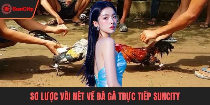 Đá gà trực tiếp Suncity Sơ lược vài nét về đá gà trực tiếp Suncity