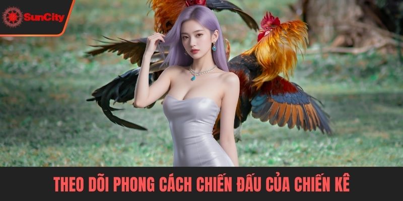 Đá gà Thomo Theo dõi phong cách chiến đấu của chiến kê
